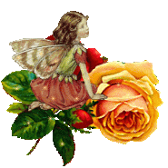 butterfly_2003 (185x185, 43Kb)