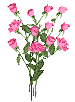 букет розовых роз (156x210, 10Kb)