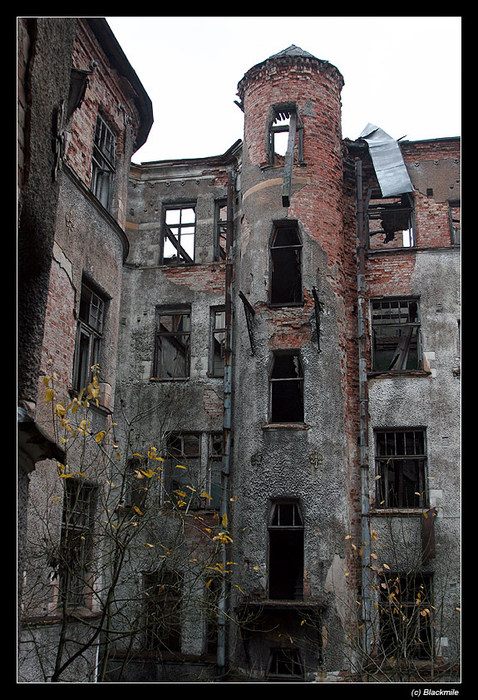 IMG_6507 (478x700, 144Kb)