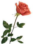 0_4dccb_eea601c2_S.jpg (111x150, 23Kb)