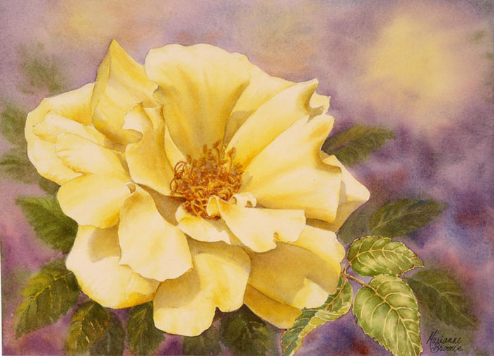 Yellow-Rose (700x504, 88Kb)