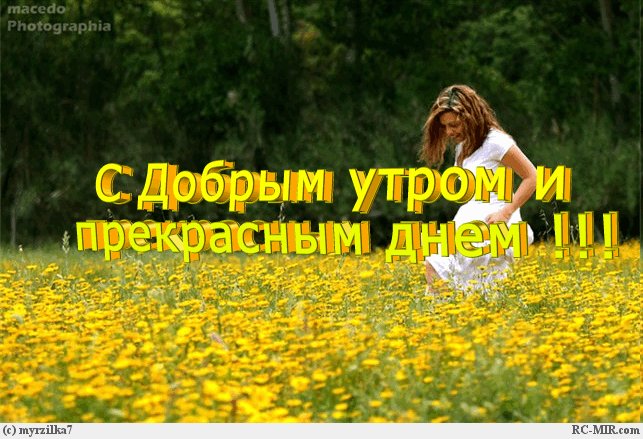 http://img0.liveinternet.ru/images/attach/c/4/81/433/81433620_1921618000e381de1d8b713497727aaaff0d90f00c.jpg