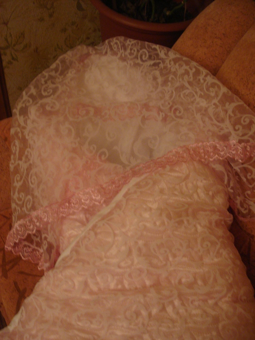 DSC06700 (525x700, 143Kb)