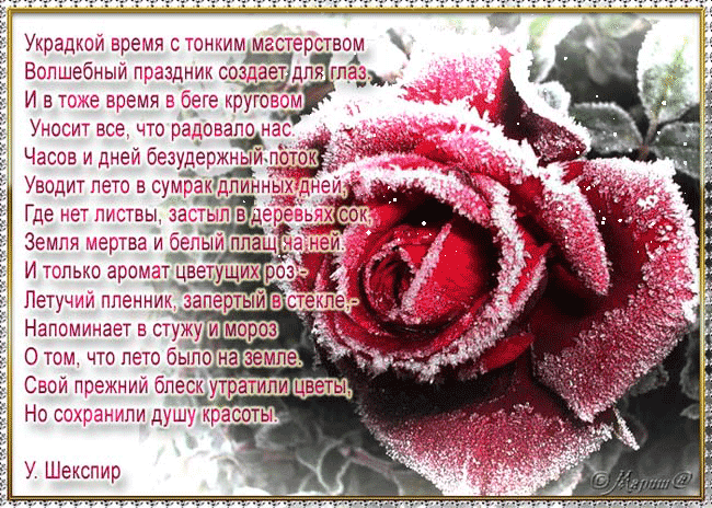 Любовь и роза стих Любовь и роза стих