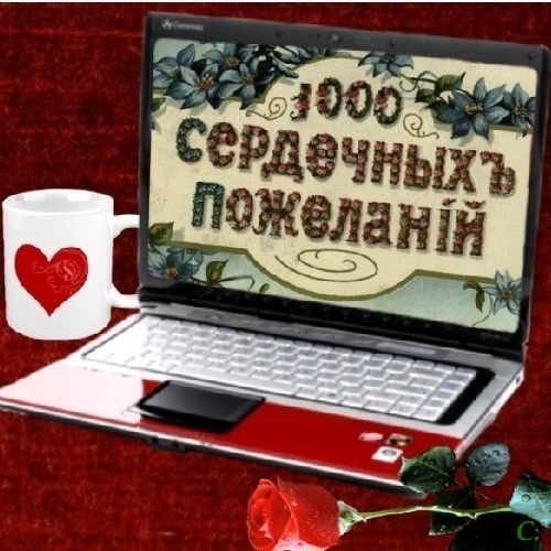 Фото подарка с бантиком 56