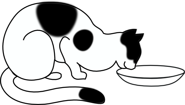 eating-cat-hi (600x341, 45Kb)