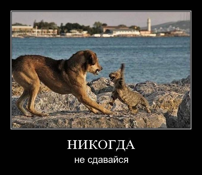 Русский секс в офисе на скрытую камеру - ПорноЛента