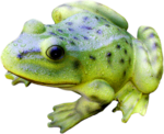  21 (700x570, 555Kb)