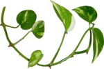  35 (700x468, 255Kb)