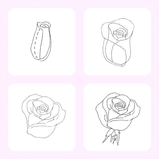 как просто нарисовать розу