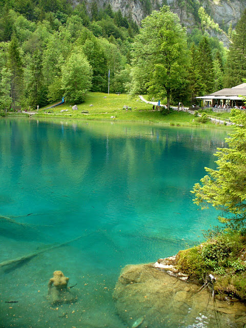 На холодно-синем стекле воды - Blausee 39745