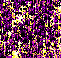  purpledash (61x58, 11Kb)
