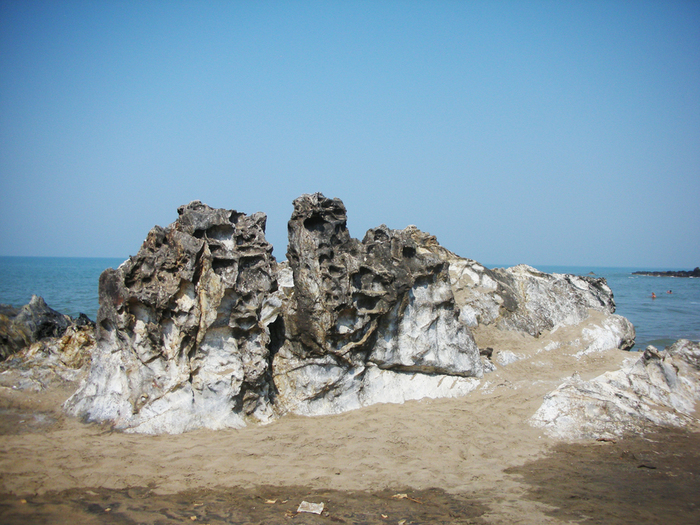 DSCN7627 (700x525, 424Kb)