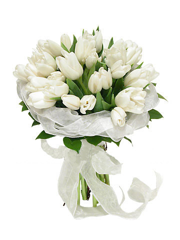 82057542_rozuy_beluye.jpg