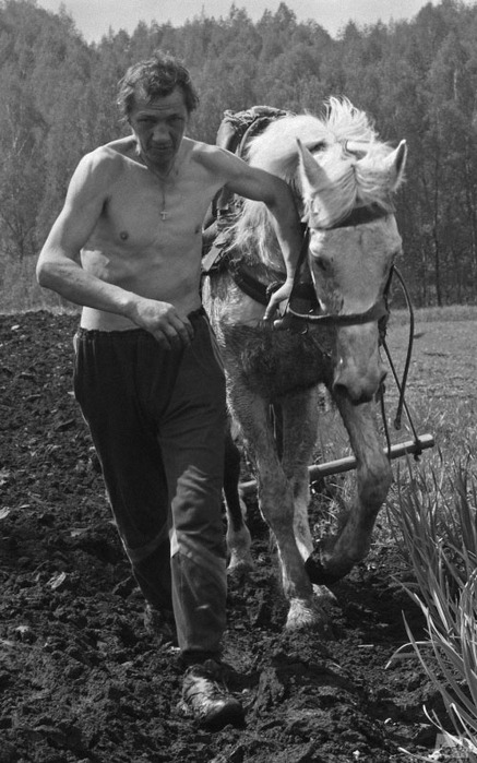 1 (437x700, 104Kb)