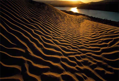 5251_14_sand-dunes-oregon-690066-ga_thumb (470x318, 39Kb)