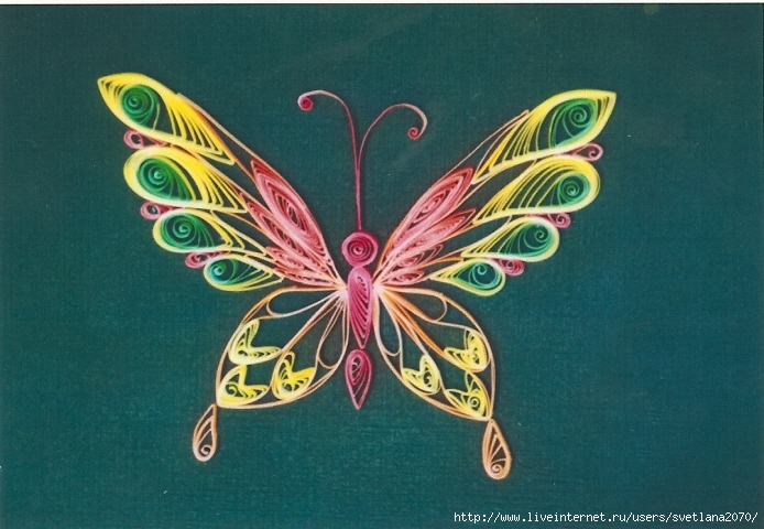 quilling-Butterfly (694x480, 271Kb)