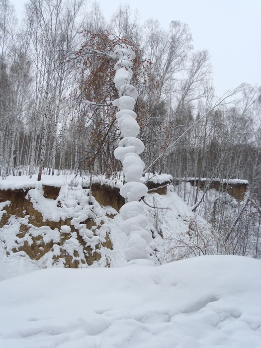 береза/1326121399_DSC00045_ (525x700, 160Kb)