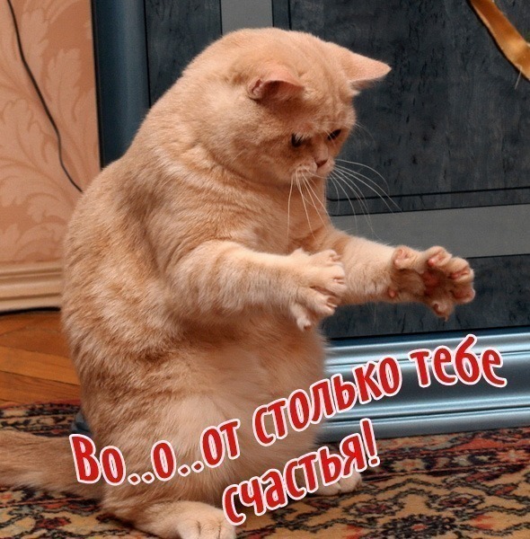   !!!))) (590x600, 123Kb)