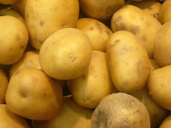 3089600_0_ca18_445244ad_XL (700x525, 71Kb)