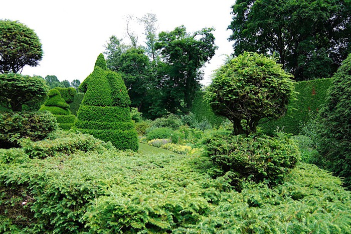 Ladew Topiary Gardens 20271