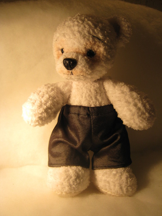 IMG_3891 (525x700, 68Kb)