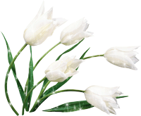   (200x165, 27Kb)