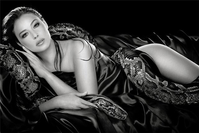 1329421239_1 (640x426, 47Kb)