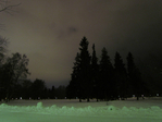  IMG_5864 (700x525, 313Kb)