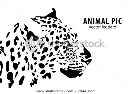 stock-vector-vector-illustration-of-a-leopard-on-white-background-78443515 (450x320, 40Kb)