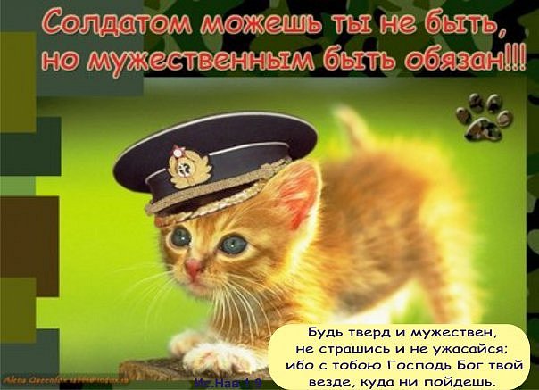 http://img0.liveinternet.ru/images/attach/c/4/83/869/83869966_7574.jpg