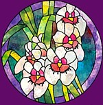 3miltoniopsispanel_ptn (150x153, 15Kb)