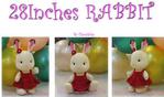  rabbit large 28 in+_1 (551x325, 29Kb)