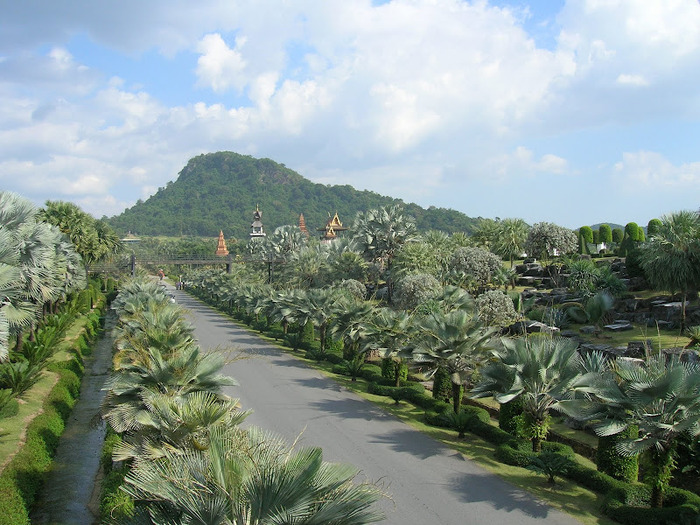 Парк Нонг Нуч (Nong Nooch Tropical Garden) 98778