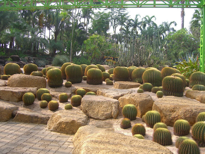 Парк Нонг Нуч (Nong Nooch Tropical Garden) 23581