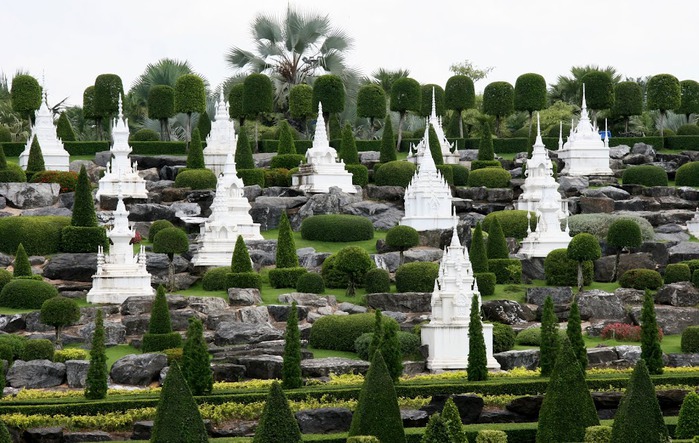 Парк Нонг Нуч (Nong Nooch Tropical Garden) 67831