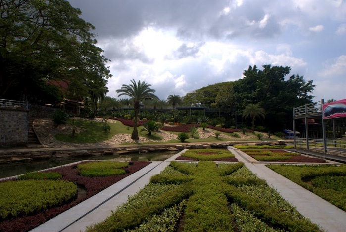 Парк Нонг Нуч (Nong Nooch Tropical Garden) 13175