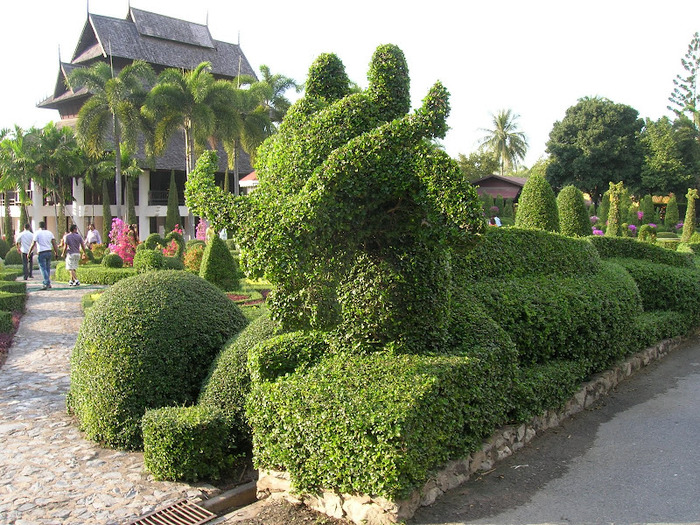 Парк Нонг Нуч (Nong Nooch Tropical Garden) 58445