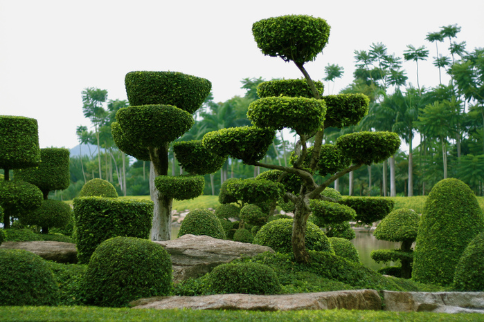 Парк Нонг Нуч (Nong Nooch Tropical Garden) 80158