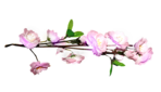  Magic by_Mago74 el (26) (700x401, 180Kb)