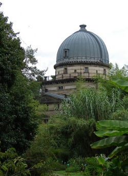 (Botanique gardens) (250x343, 61Kb)