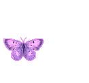 butterflyka4 (131x121, 14Kb)