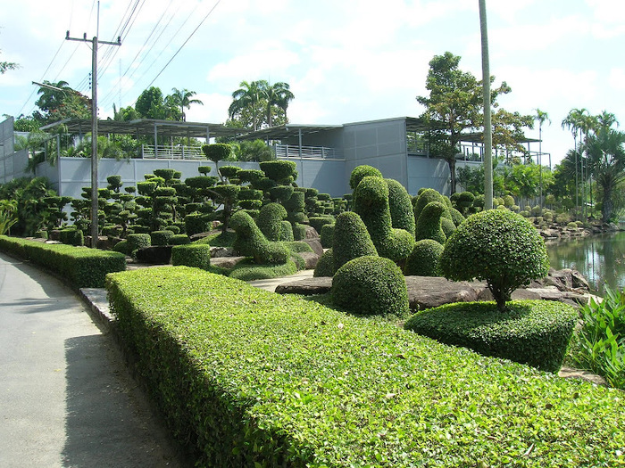 Парк Нонг Нуч (Nong Nooch Tropical Garden) 50009