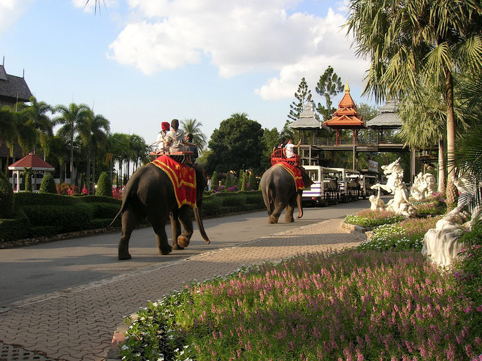 Парк Нонг Нуч (Nong Nooch Tropical Garden) 23196