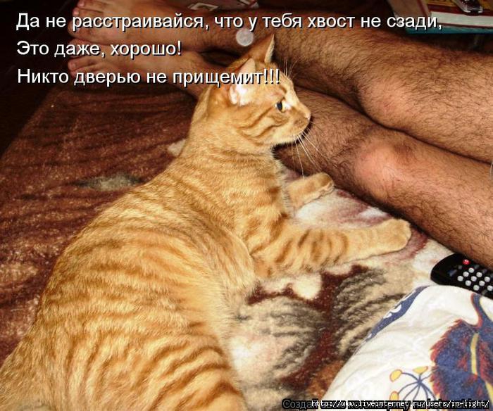 http://img0.liveinternet.ru/images/attach/c/4/84/507/84507054_Kotomatrica_38.jpg