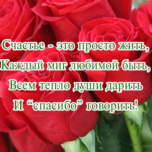 Стих спасибо за счастье тебе Стих спасибо за счастье тебе