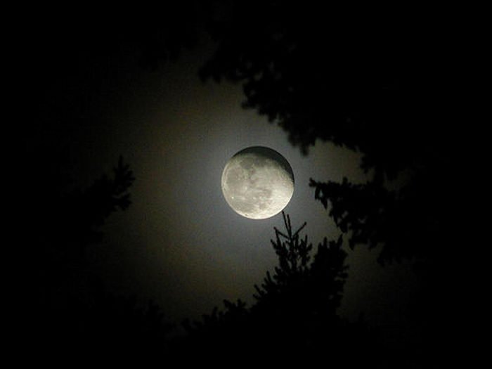 moon_photo_1 (700x525, 18Kb)