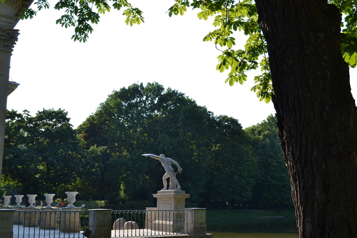 DSC_0833 (700x466, 249Kb)