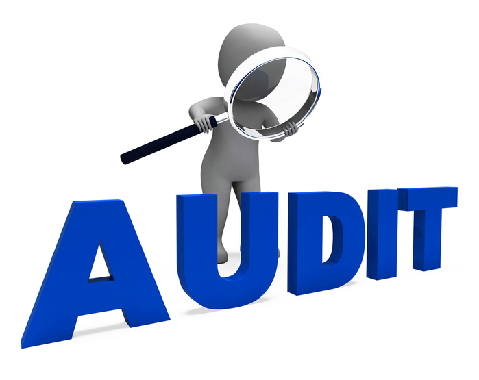 Audit-Compliance2 (700x555, 137Kb)
