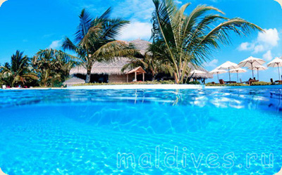 5640974_maldives_1_ (400x249, 66Kb)